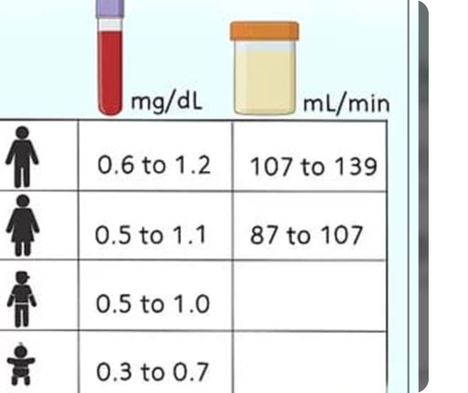محدوده مجاز کراتین در خون و ادرار خانم ها و مردان و کودکان