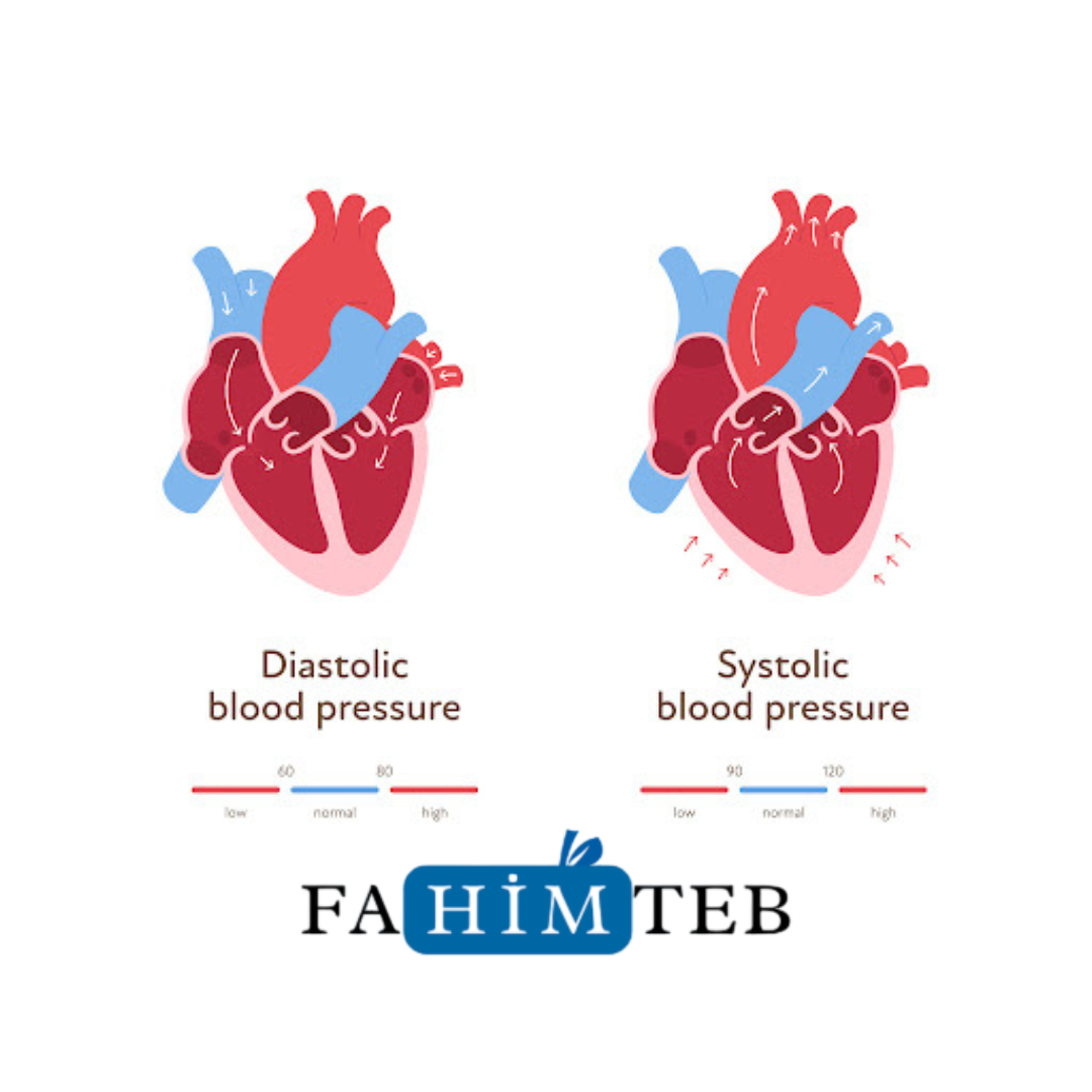 سیستول و دیاستول در قلب- فهیم طب