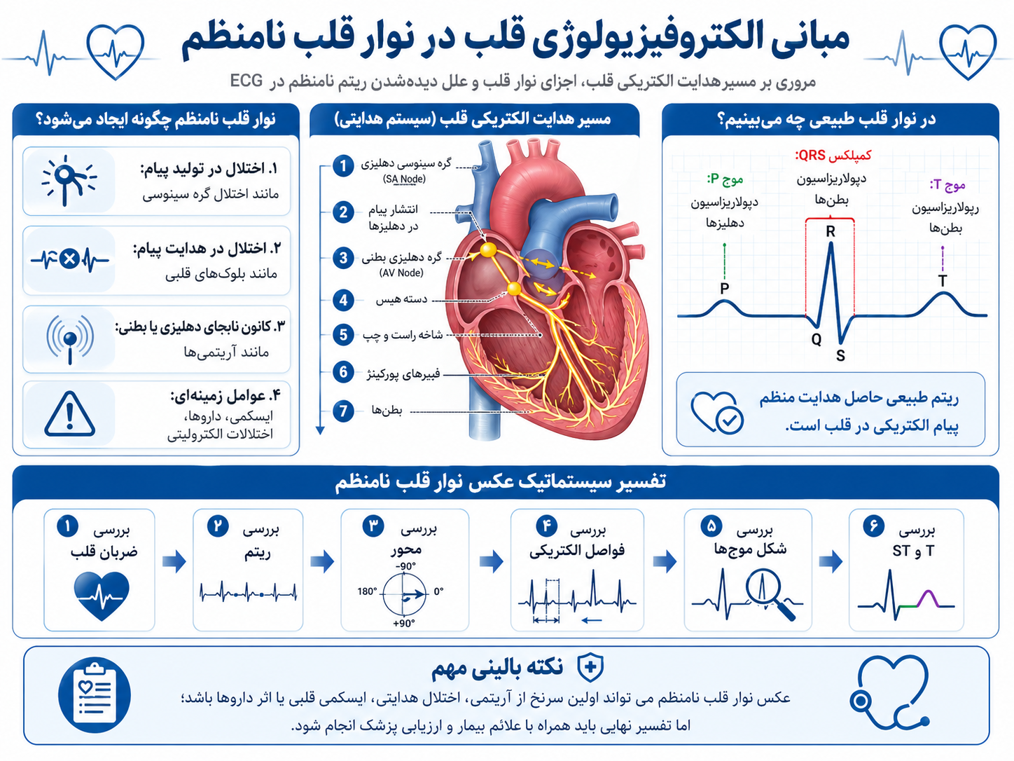مبانی الکتروفیزیولوژی قلب در عکس نوار قلب نامنظم | فهیم طــب