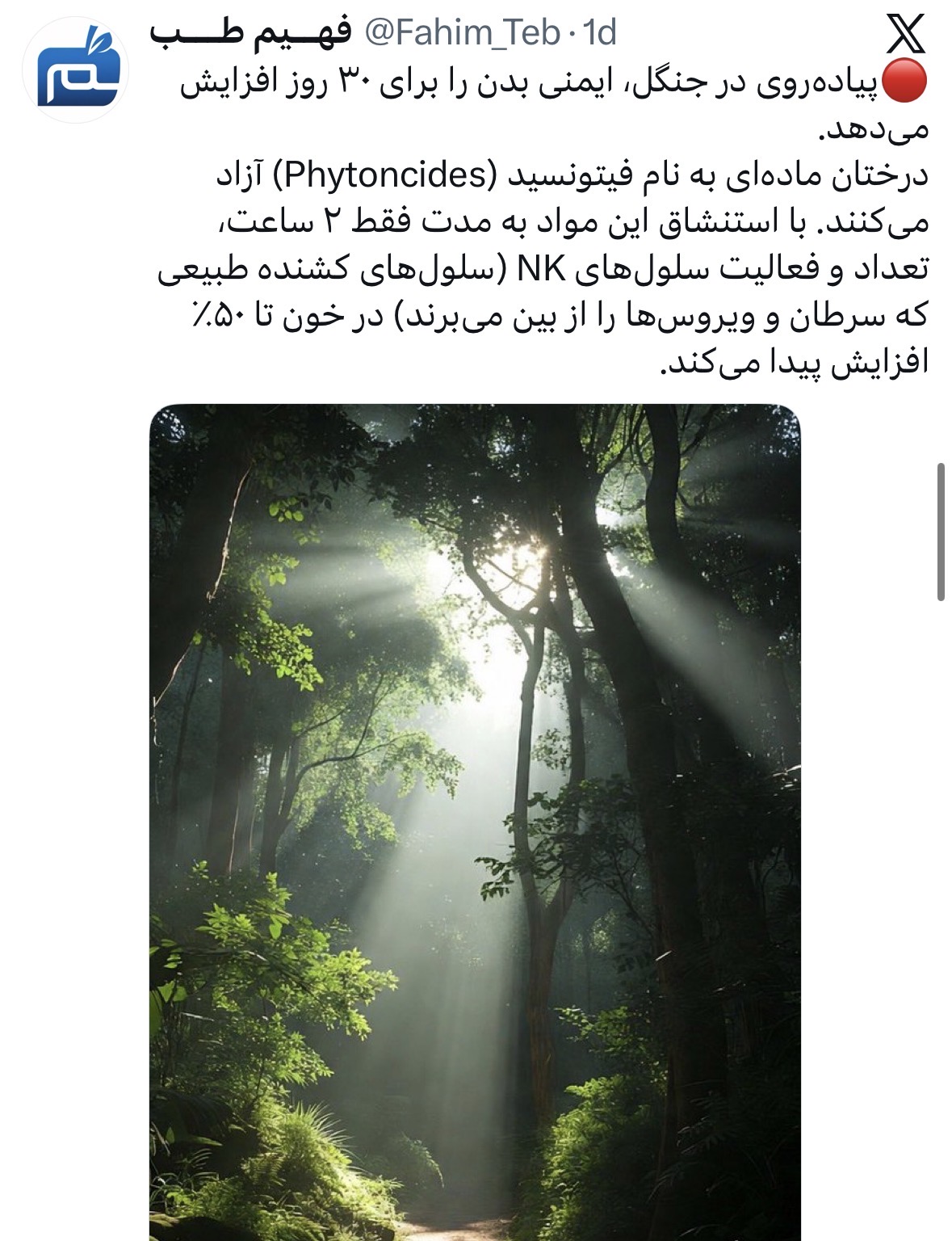FahimX | 11
