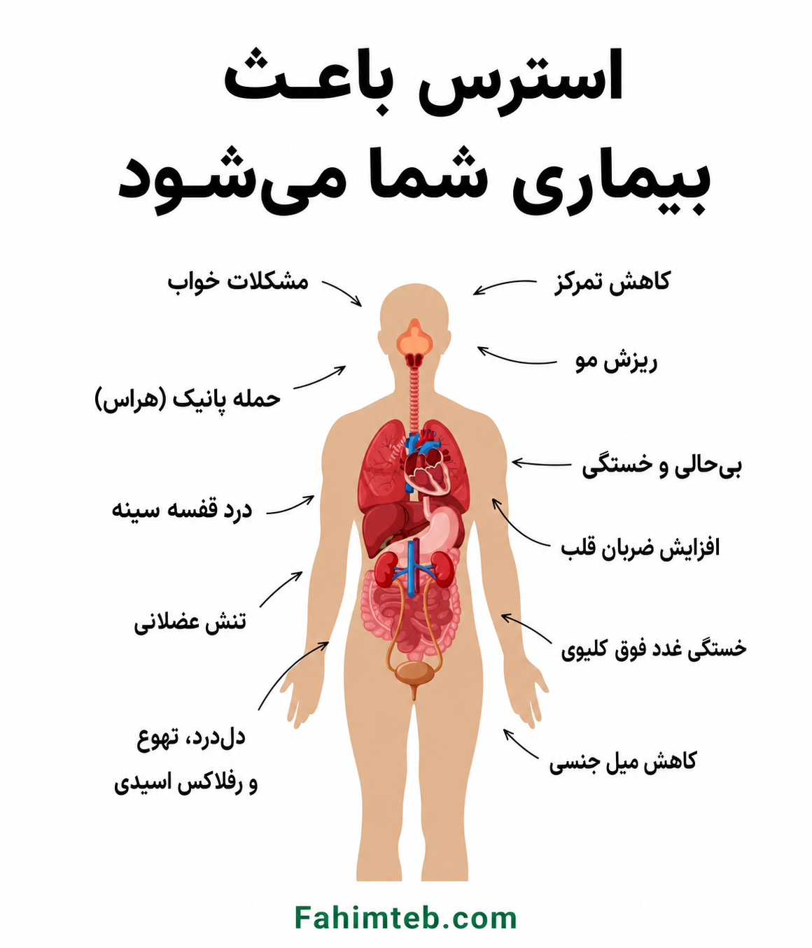 تاثیر استرس بر بدن انسان