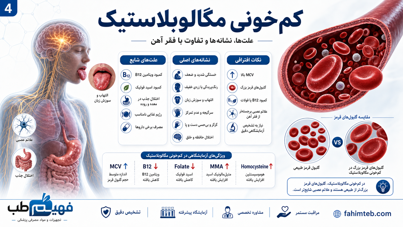 کم خونی مگالوبلاستیک | فهیم طــب