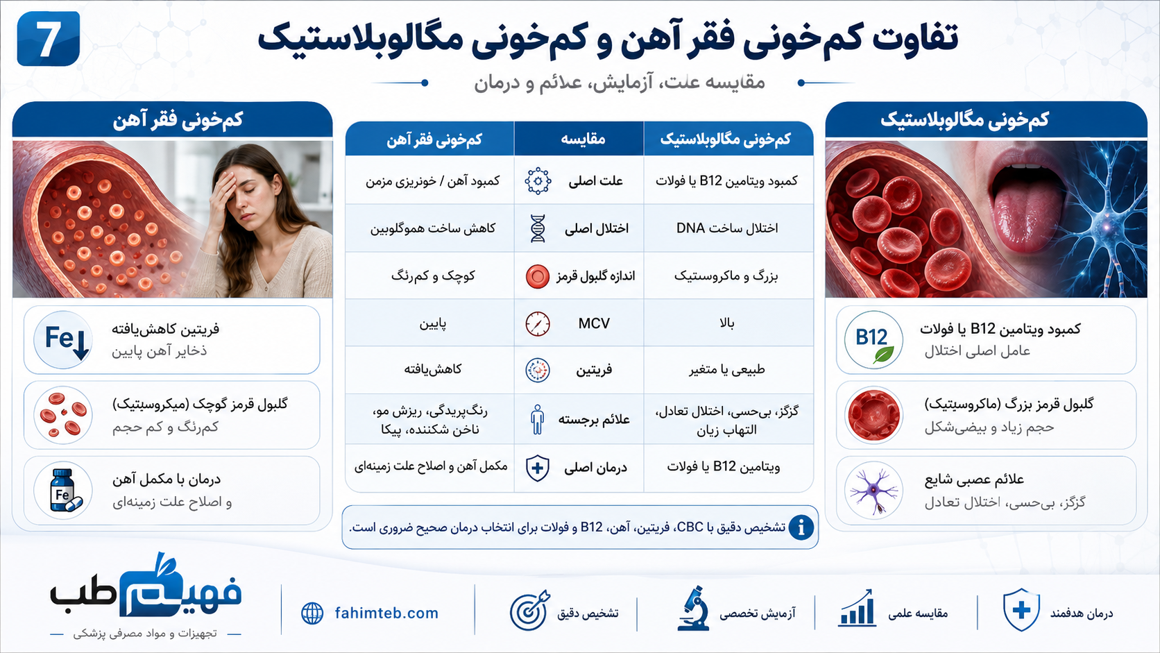 تفاوت کم خونی فقر آهن و کم خونی مگالوبلاستیک | fahimteb