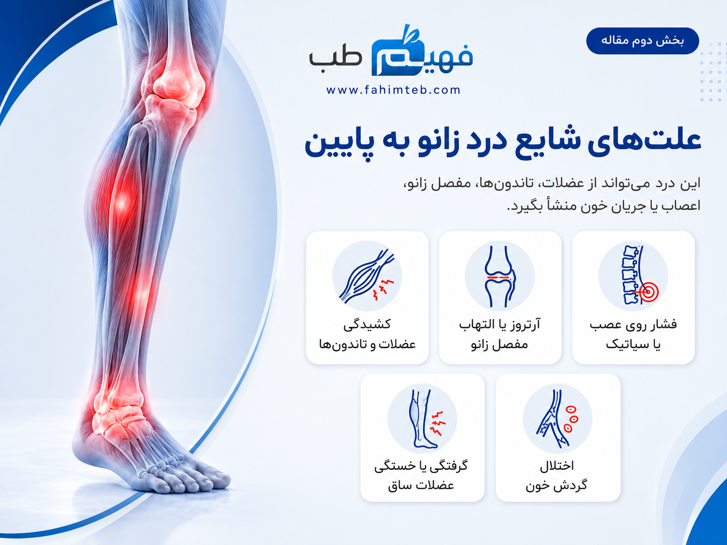 علت درد زانو به پایین