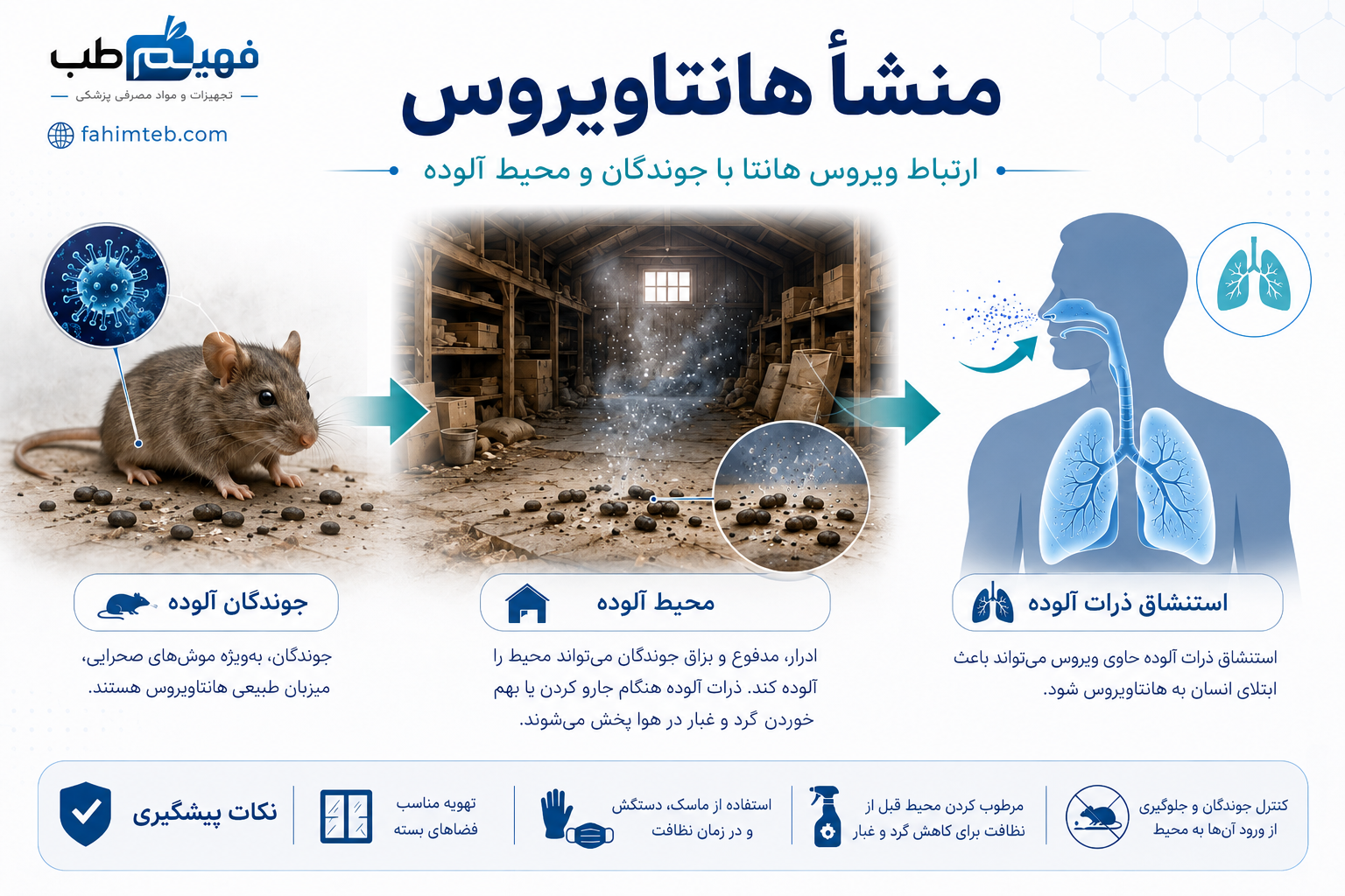منشأ هانتاویروس؛ ارتباط ویروس هانتا با جوندگان و محیط آلوده
