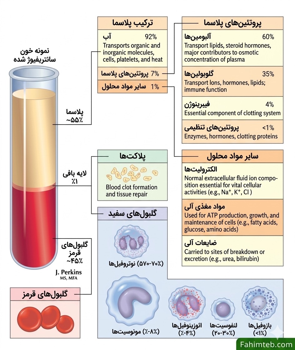 محتویات خون انسان