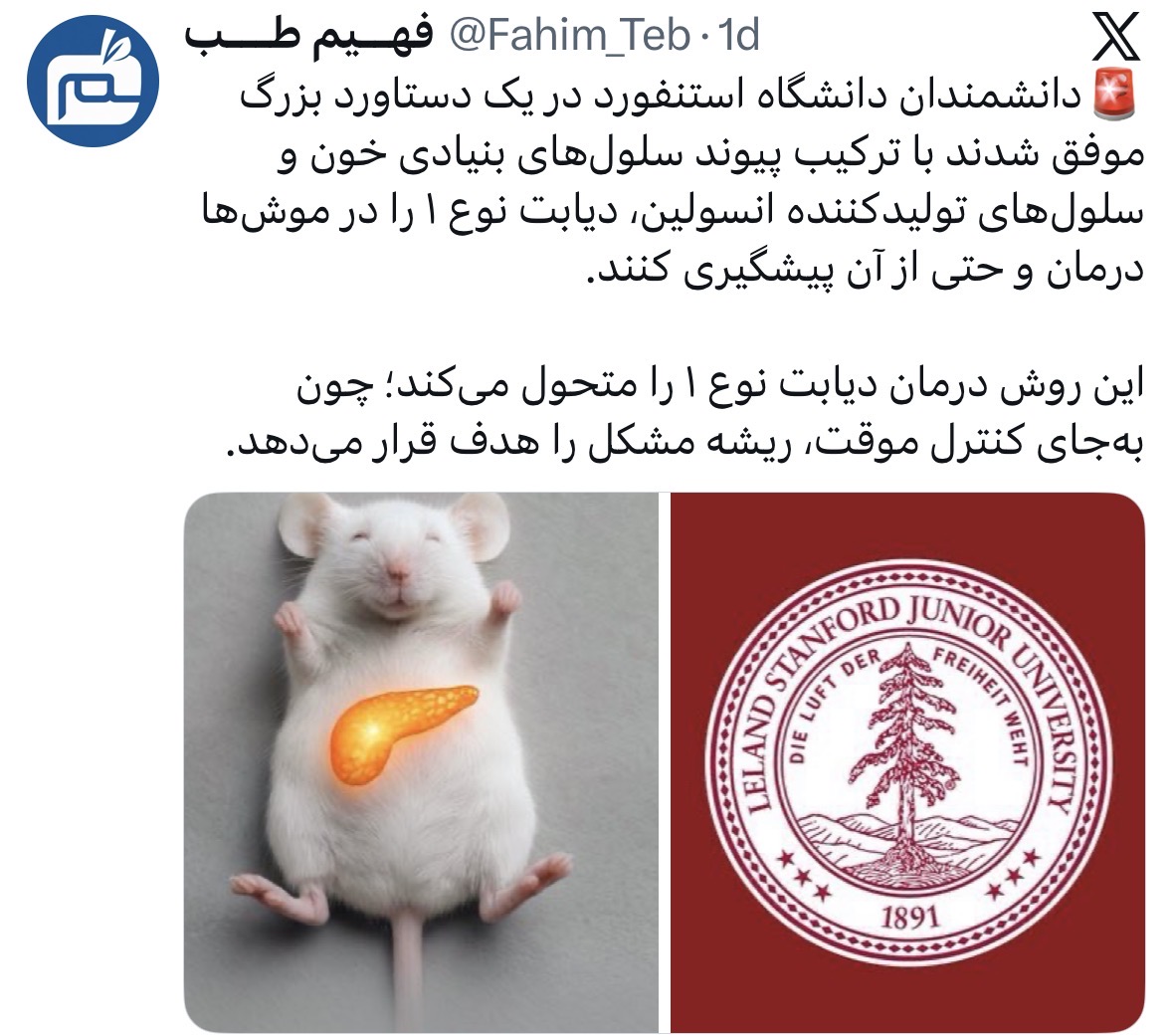 FahimX | 22