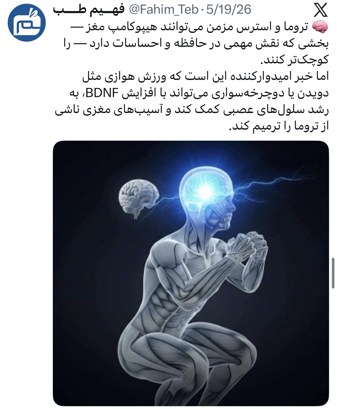 FahimX | 18