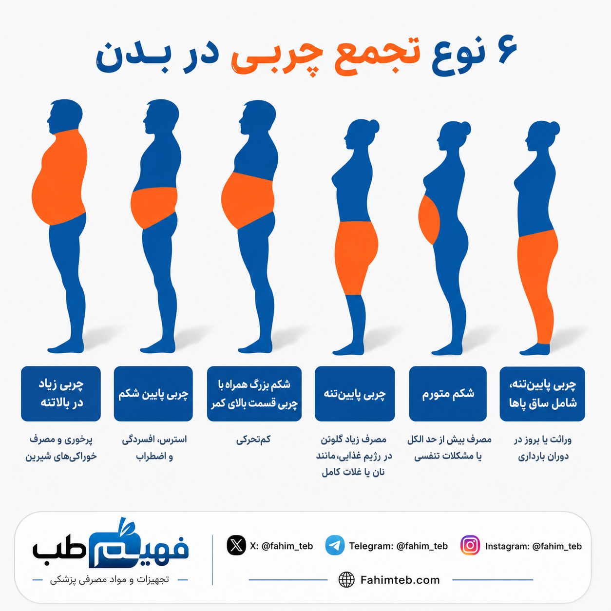 ۶ نوع تجمع چربی در بدن انسان و دلایل آن