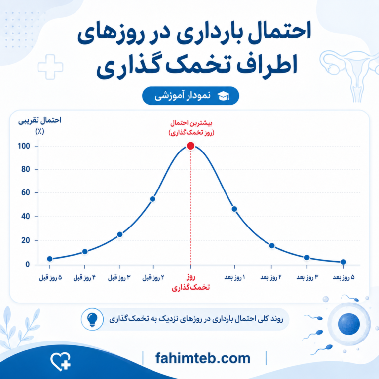 چند روز بعد از تخمک گذاری احتمال بارداری وجود دارد؟