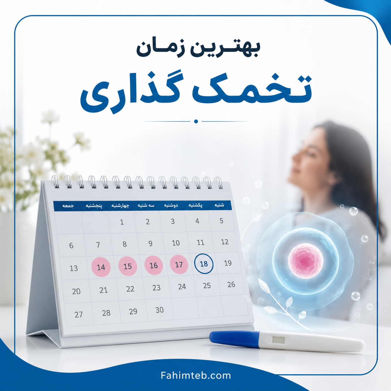 بهترین زمان تخمک گذاری برای باردار شدن