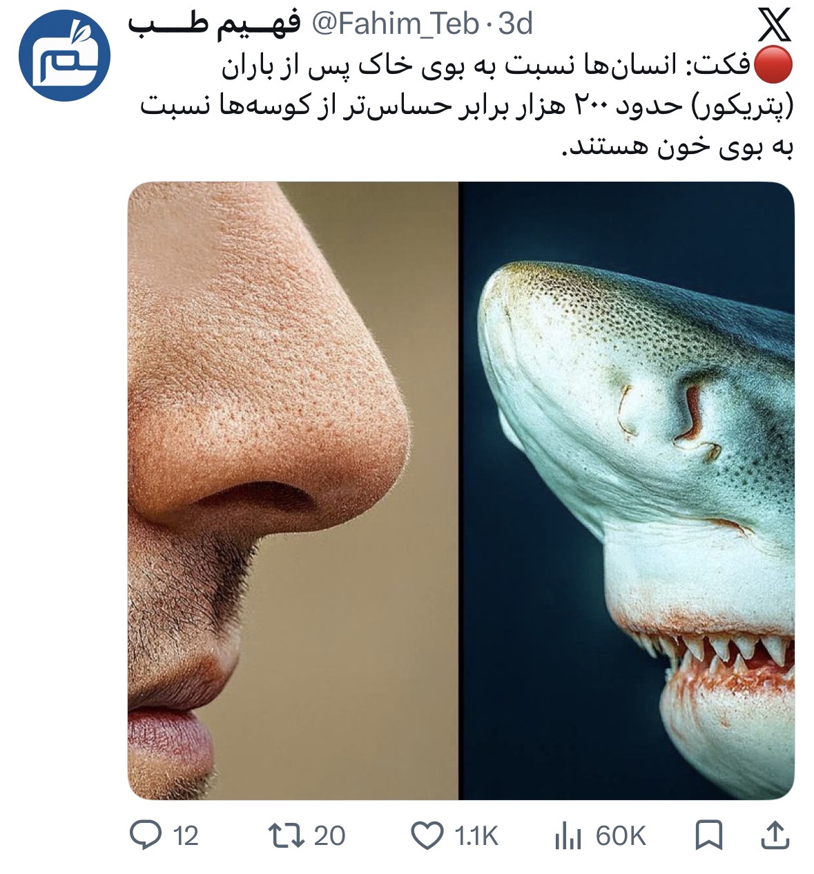 FahimX | 26