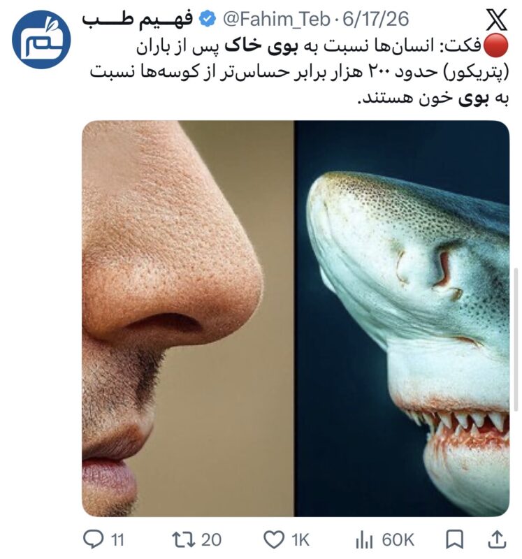 FahimX | 33